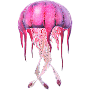 Huge Pink Jellyfish.webp