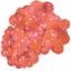 Paleberry.png