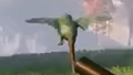 A view of the bird in the E3 Trailer.